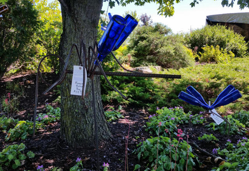 Real Monstrosities: Bottle Tree